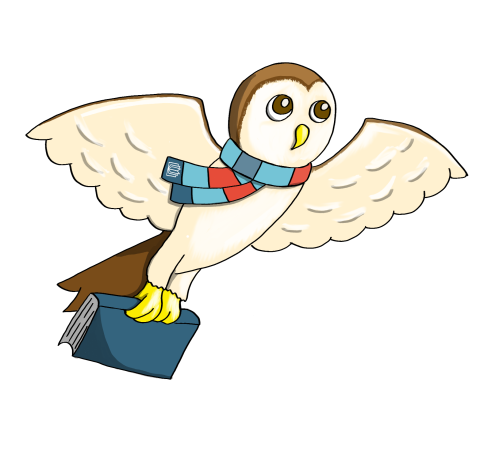 Flying owl named Linc