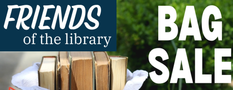 Friends of the Lincoln Township Public Library Sale
