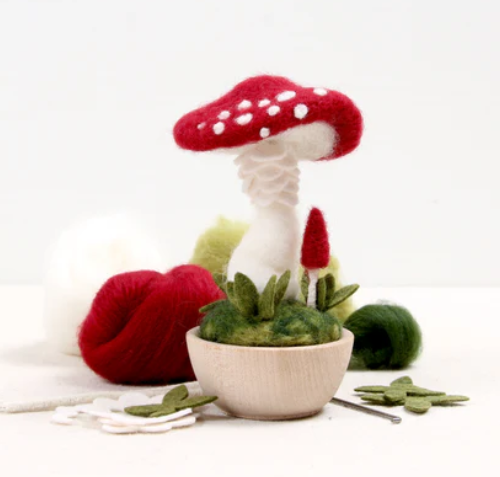 Needle felting Mushroom kit