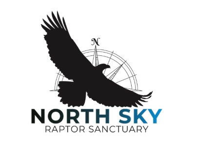 North Sky Raptor Sanctuary 
